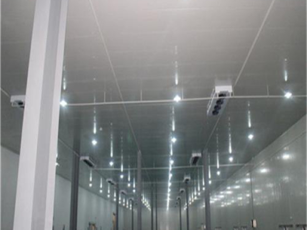 建造安裝食品低溫冷藏庫有哪些因素影響造價？